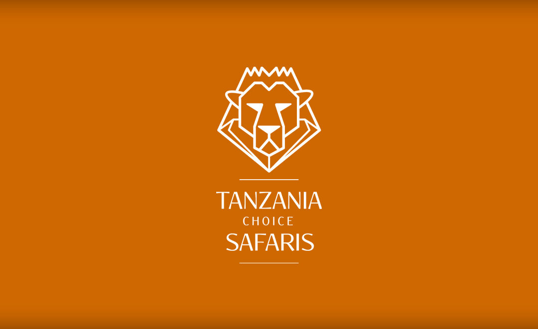 Tanzania Choice Safaris Logo & Branding