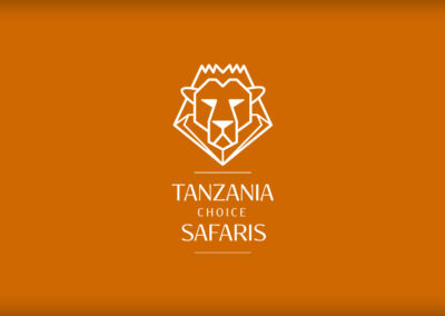 Tanzania Choice Safaris Logo & Branding